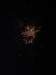 imgp6051small_small.jpg