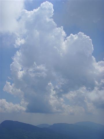 ssl20046small.jpg