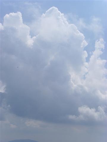 ssl20053small.jpg