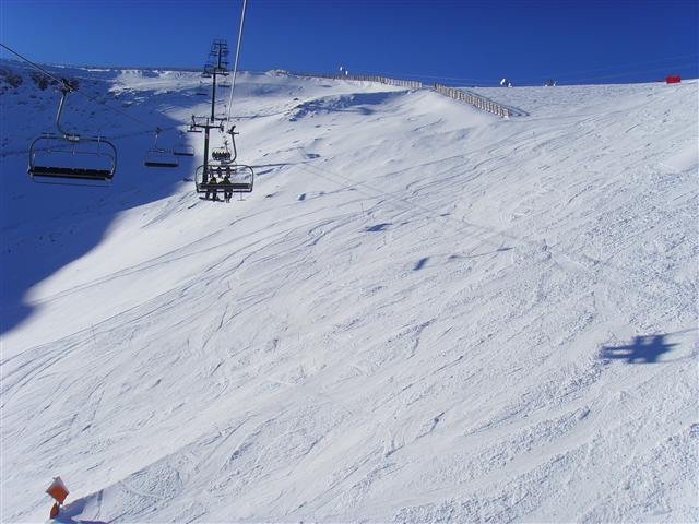 ssl20106small.jpg
