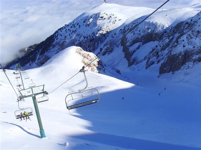 ssl20111small.jpg