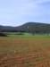 imgp8800small_small.jpg