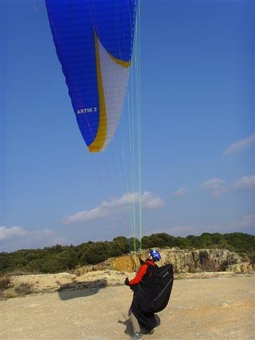 ssl22447small.jpg