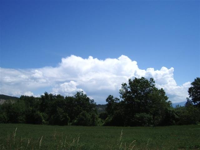 imgp4238small.jpg