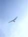 imgp6167small_small.jpg