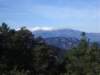 imgp6175small_small.jpg