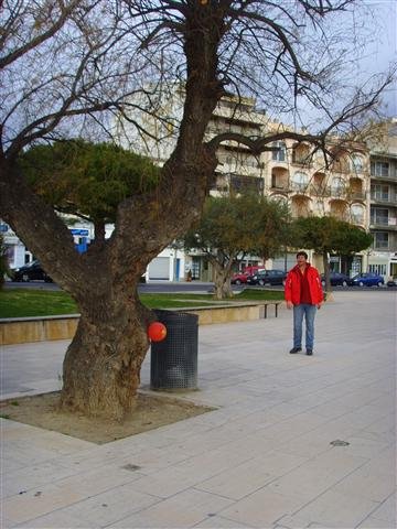ssl22568small.jpg