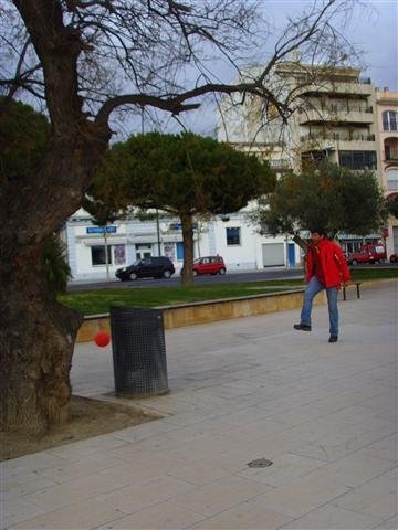 ssl22571small.jpg