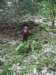 imgp5018small_small.jpg