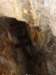 ssl22745small_small.jpg