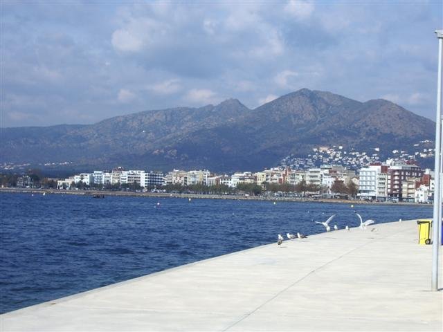 imgp6212small.jpg