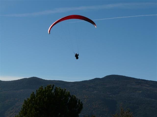 p1070676small.jpg