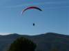 p1070676small_small.jpg