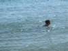 imgp8839small_small.jpg