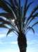 imgp8859small_small.jpg