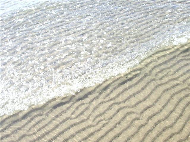 imgp8877small.jpg