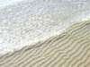 imgp8877small_small.jpg