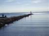 imgp8880small_small.jpg
