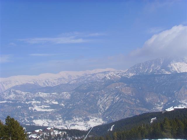 ssl28233small.jpg