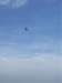 imgp3810small_small.jpg