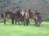 imgp5042small_small.jpg