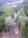 ssl23552small_small.jpg