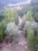 ssl23553small_small.jpg