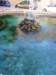 ssl23907small_small.jpg