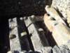 imgp7377small_small.jpg