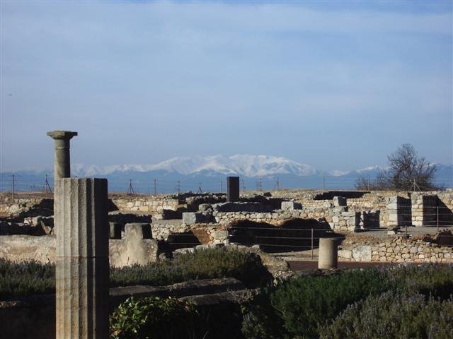 imgp7390small.jpg