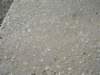 imgp7392small_small.jpg