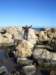 imgp7413small_small.jpg