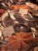 imgp7952small_small.jpg