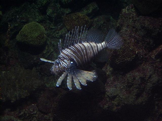 imgp7985small.jpg