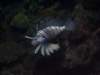 imgp7985small_small.jpg