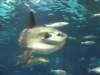 imgp7987small_small.jpg