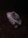 imgp7988small_small.jpg