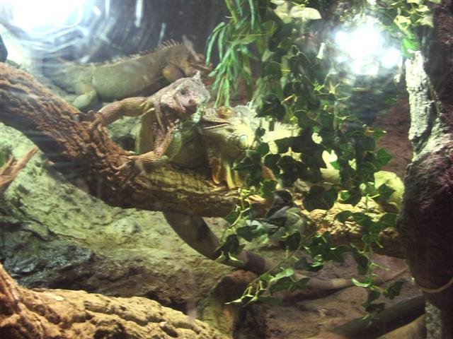 imgp7992small.jpg