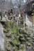 _mg_1422small_small.jpg