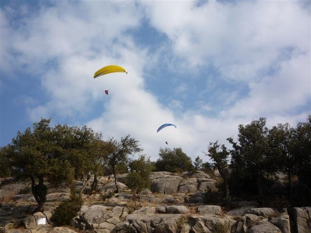 p1040139small.jpg