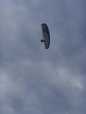 ssl26737small.jpg