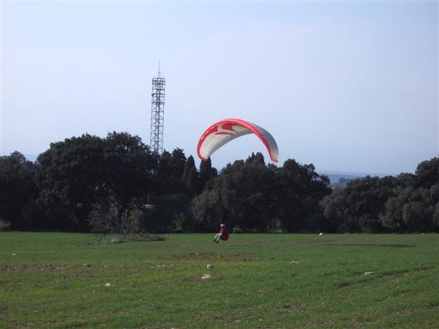 imgp1793small.jpg
