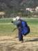 imgp1803small_small.jpg