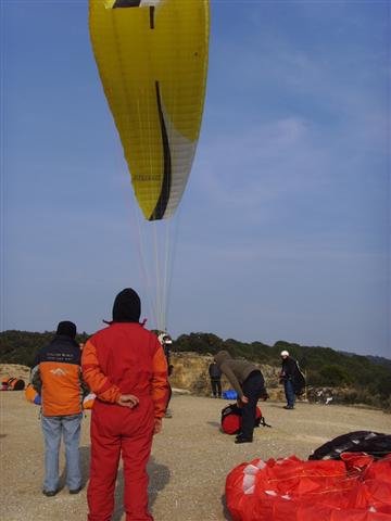 ssl28258small.jpg