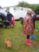 ssl21819small_small.jpg