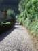 imgp5083small_small.jpg