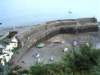 imgp5088small_small.jpg