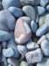 imgp5116small_small.jpg