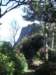 imgp5124small_small.jpg