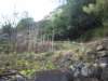 imgp5655small_small.jpg
